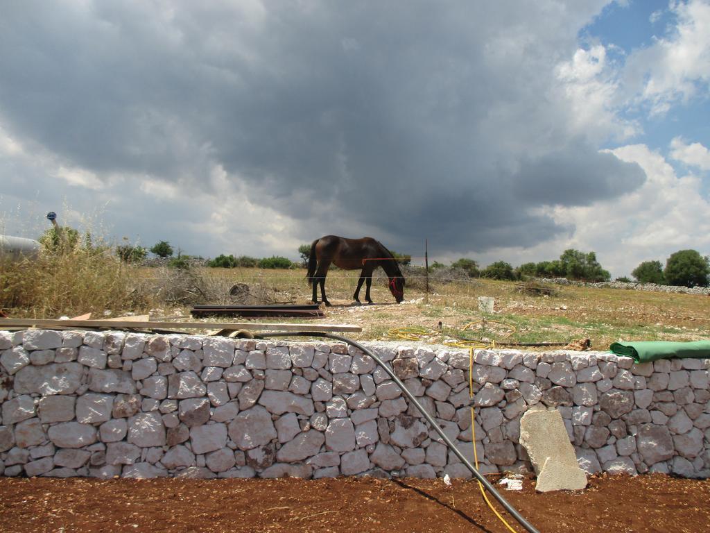 Le Mangiatoie Del Re Giordano Villa Avola Dış mekan fotoğraf
